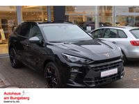 Cupra Terramar - Vorschau Bild 1
