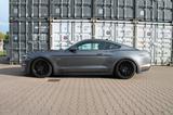 Ford Mustang 5.0 Ti-VCT V8 GT - B&O/CARBON/PREMIUM - Ford Mustang aus 2021