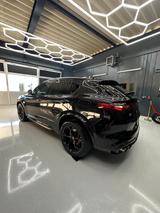 Alfa Romeo Stelvio 2.9 V6 Bi-T. 375kW Quadrifoglio AT8-... - Alfa Romeo: Quadrifoglio