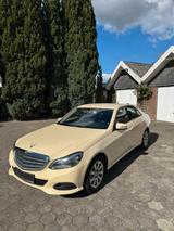 Mercedes-Benz E 220 BlueTEC 4MATIC Autom. - - Mercedes-Benz E 220: Taxi
