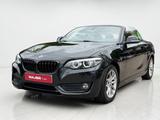 BMW 218i Cabrio Advantage*LED*PDC*TEMPO*KLIMA*NAVI - BMW 218 in Hamburg