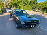 Ford Mustang Fastback A-Code Shelby Clone H-Zulassung - Ford Mustang aus 1965: Fastback