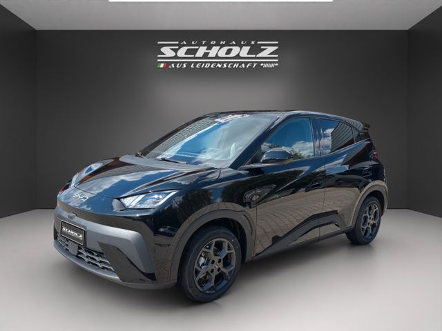 BYD DOLPHIN SURF