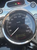 Harley-Davidson Sportster 1200 - Angebote
