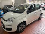Fiat Panda 1.2 Trussardi - Fiat Panda TRUSSARDI mit Benzin-Antrieb