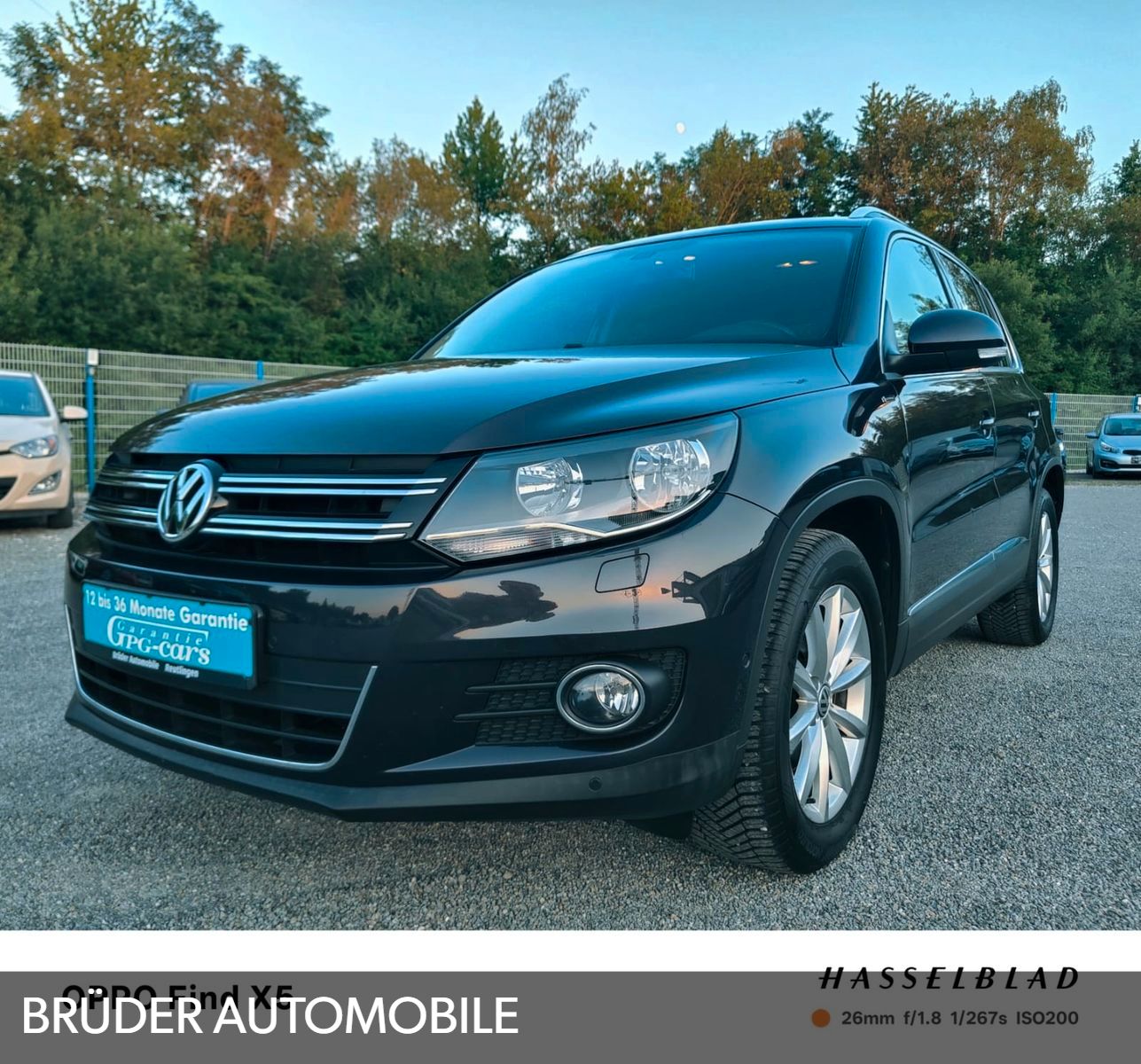 VW Tiguan 1,4 Lounge Sport &amp; Style BMT Klimaautomat