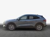 Ford Kuga 2.5 Duratec FHEV TITANIUM X kein Plug-In - Ford Kuga: Allradantrieb