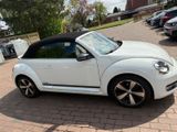 Volkswagen Beetle 1.2 TSI DSG club/ viel ausstattung - : Cabrio, Club