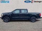 Ford F 150 XLT 5.0 Ltr. V8 Autom. AHK NAVI 360°-KAMER - Ford F 150 aus 2023