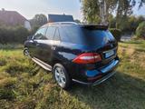 Mercedes-Benz ML 350 BlueTEC 4MATIC - - Mercedes-Benz ML 350 mit Diesel-Antrieb