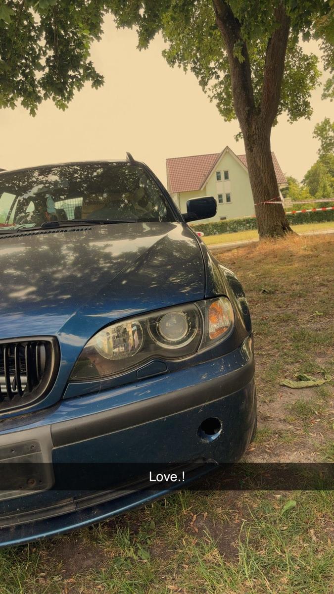 BMW  2004 — вигляд ззаду