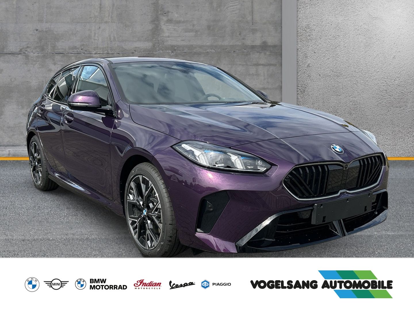 Fahrzeugabbildung BMW 116 i M Sport Park-Assistent Sportpaket Head-Up