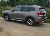 Subaru Forester 2.0ie Active Lineartronic Active - Subaru aus 2024