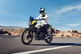 Honda CB 500 Hornet Black E-Clutch #2026 - Vorführer - - HONDA HORNET