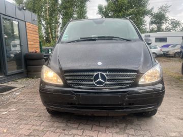 Mercedes Viano - 3