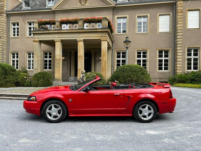 Ford Mustang Leder