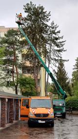 Renault Maxity Ruthmann Hubsteiger TB 270 - Offers