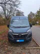 Opel Movano - graue Opel Movano