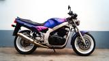 Suzuki GS500 E | *A2* fähig | Cobra Ausp. | TÜV 2026 - SUZUKI GS 500 F