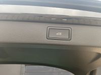 Skoda Kamiq - Vorschau Bild 14