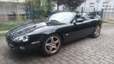 Jaguar XK8 Cabriolet - Liebhaberstück aus guter Hand! - Jaguar XK8 aus 2001