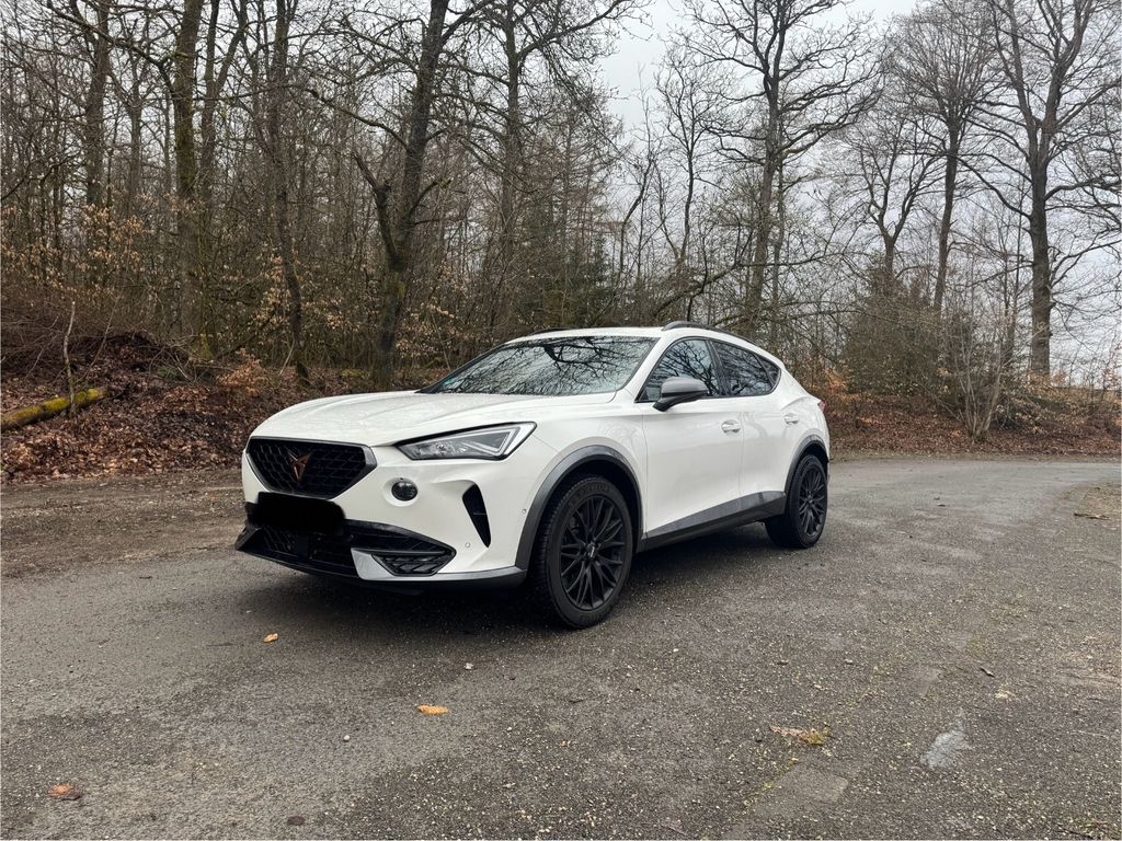 Image of Cupra Formentor