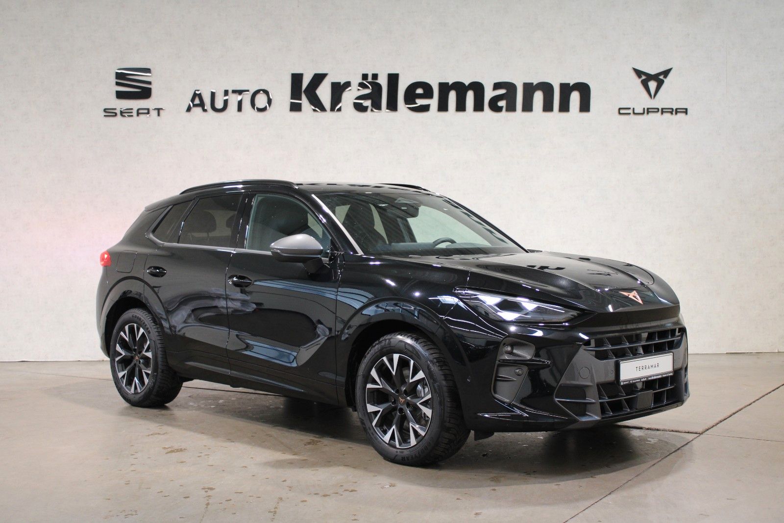 Cupra Terramar 1.5 DSG e-HYBRID *AHK*LED*NAVI*Allwette
