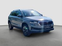 Skoda Karoq - Vorschau Bild 4