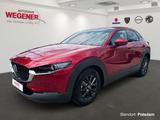 Mazda CX-30 2.0 e-SkyActivX Hybrid HeadUp*ACC*Navi*CAM - Mazda CX-30 Gebrauchtwagen in Berlin