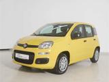 Fiat Panda 1.0 GSE Hybrid Pandina Icon - Fiat Panda Pandina mit Benzin-Antrieb
