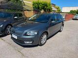 Skoda SKODA Octavia 1.4 TSI 110 CV G-TEC Executive - Skoda Octavia mit CNG-Antrieb: Kombi, 1.4