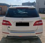 Mercedes-Benz ML 350 4MATIC BlueEFFICIENCY Edition 1 Edition 1 - Mercedes-Benz ML 350 mit Benzin-Antrieb