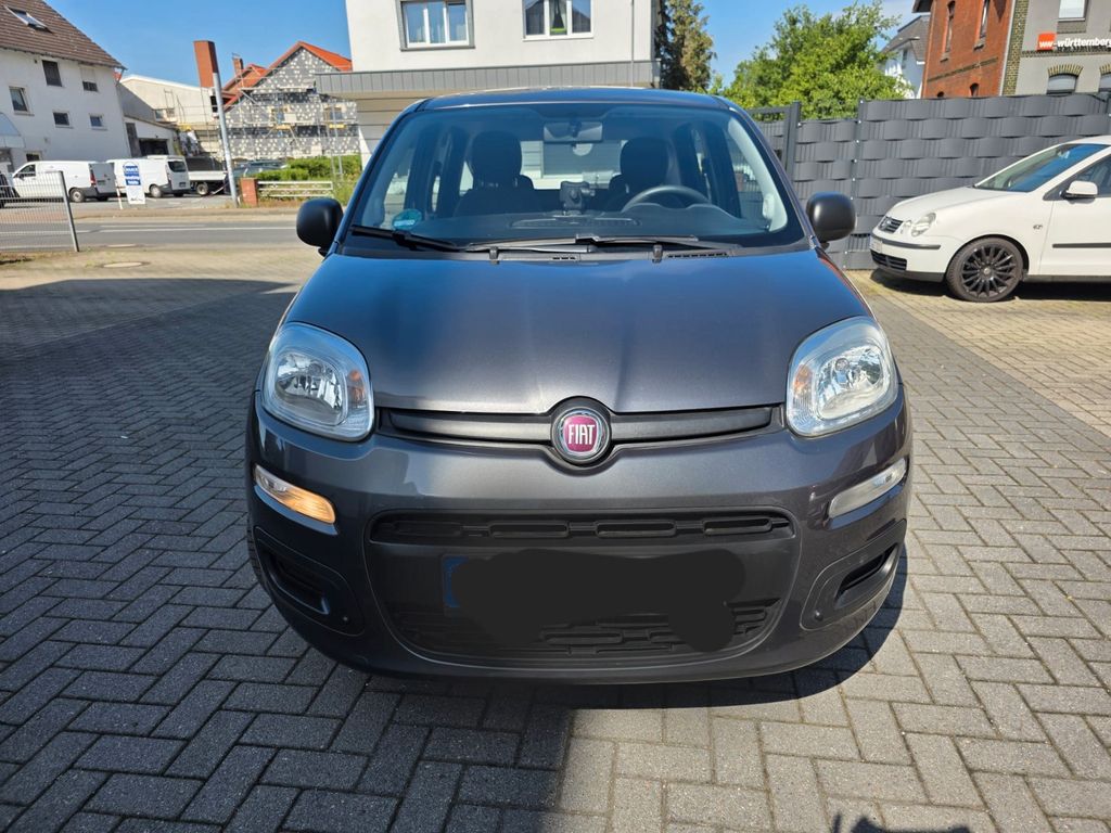 Image of Fiat Panda