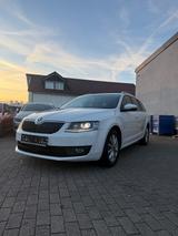 Skoda Octavia 2.0 TDI Green tec Elegance Combi - Skoda Octavia: Elegance TDI