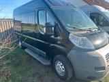 Fiat Ducato L2H2 (Minibus -Behindertengere... - Minibus gebraucht