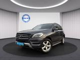 Mercedes-Benz ML 350  CDI BlueTec*LED*LEDER*PANO*AHK* - Mercedes-Benz ML 350 in Duisburg