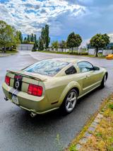 Ford Mustang GT V8 - Ford Gebrauchtwagen von 2005
