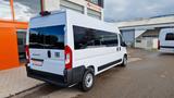 Fiat Ducato 9 Sitzer Systemboden Rolli Stock - Reisebus Sitze