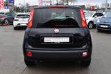 Fiat Panda 1.2i Klima - Fiat Panda: Allradantrieb, 1.1