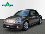 Volkswagen Cabriolet Design Xenon/PDC/SHZ/Navi - mit Diesel-Antrieb: Braun, Cabrio