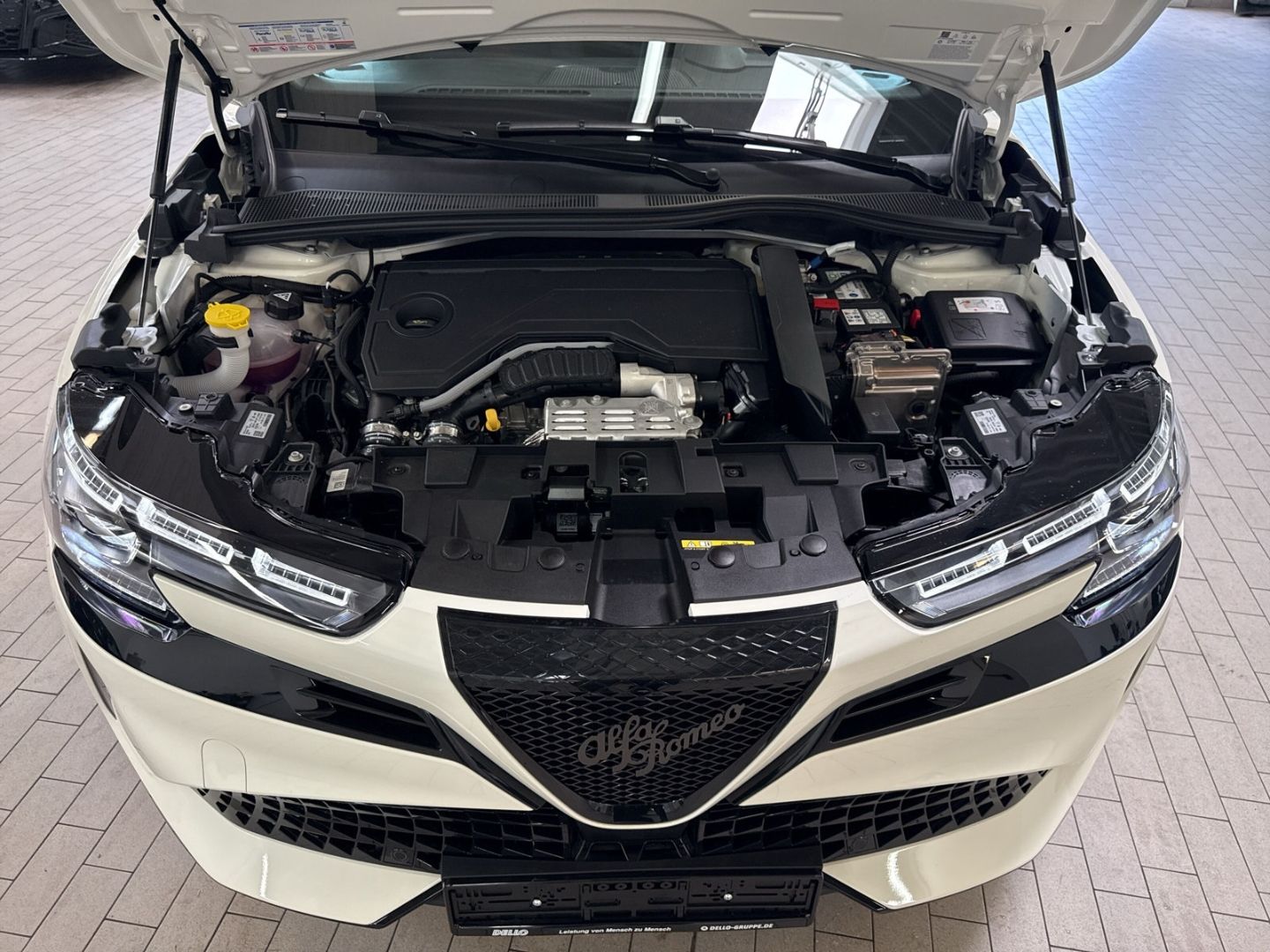 Alfa Romeo Junior - Bild 14