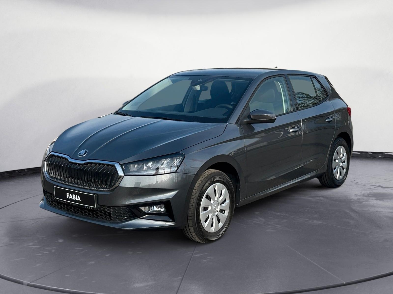 Skoda Fabia Selection SHZ/LED