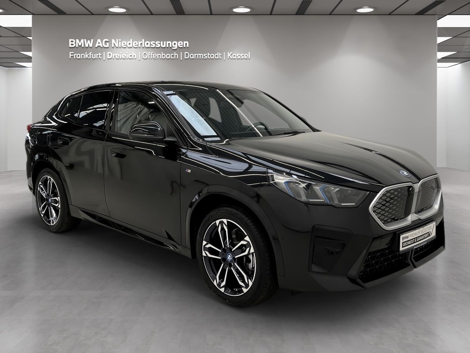 BMW iX2 xDrive30 M Sport AHK Driv.Assist.Prof LED foto 3