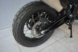 Husqvarna Norden 901 Expedition + Tieferlegung + viel Zube - HUSQVARNA NORDEN 901 EXPEDITION