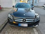 Mercedes-Benz E 220D T-Modell W213 - Mercedes-Benz E-Klasse: W213