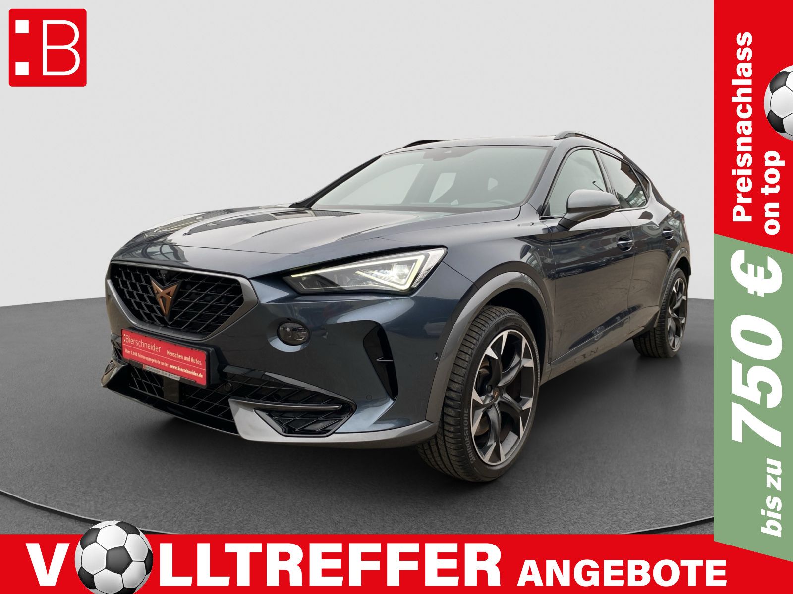 Cupra Formentor 2.0 TSI DSG 4Drive VZ AKRA AHK MATRIX 