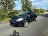 Fiat punto  1,2 l - Fiat Punto in Hannover