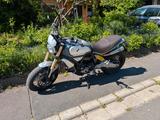 Ducati Scrambler 1100 Special - Offers matching your search criteria