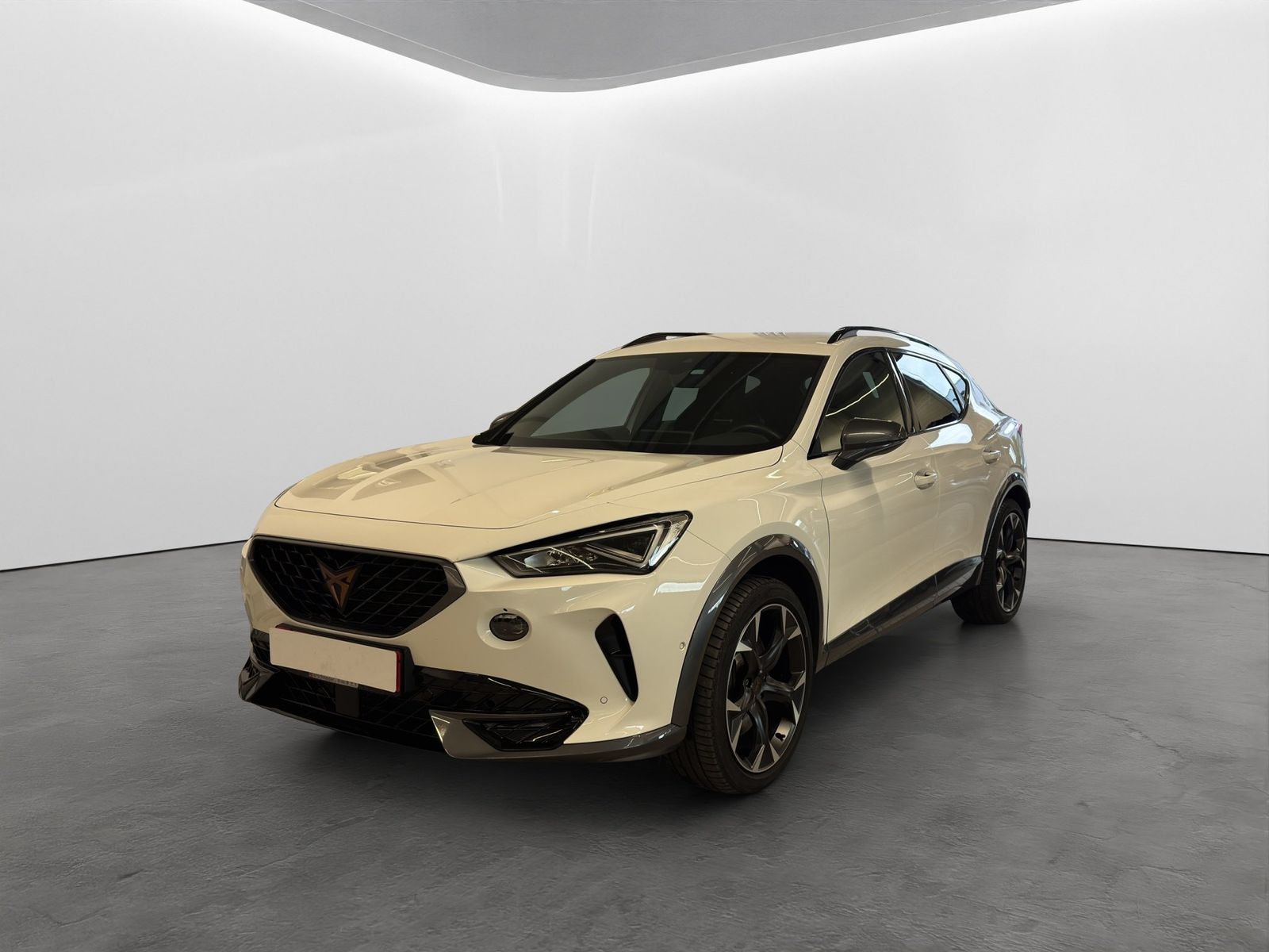 Cupra Formentor 2.0 TSI DSG 4Drive VZ LED NAVI AHK ACC imagem 2