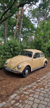 Volkswagen VW Käfer L 1200 Tüv neu H Kennzeichen  - Volkswagen in Berlin: Kaefer